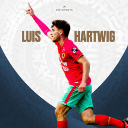 Luis Hartwig